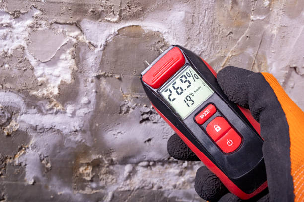 Best Certified Mold Removal  in Buffalo, MN